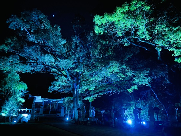 屋島ライトアップ＆プロジェクションマッピング　DEEP-SEA FOREST　