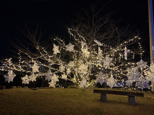 桜んたんページェント　イルミネーション