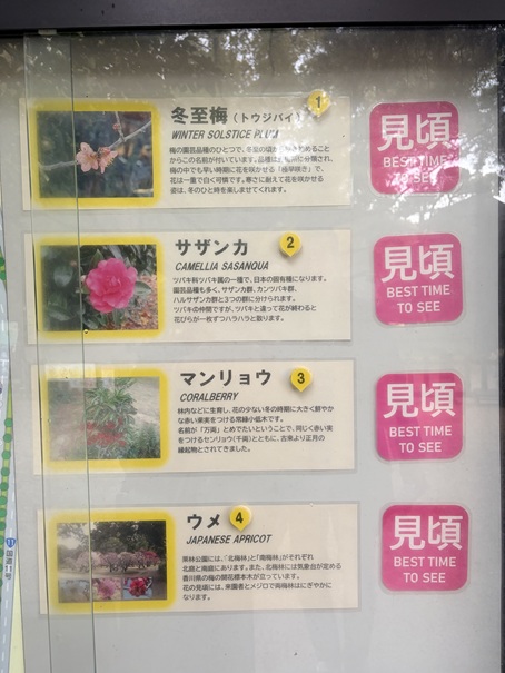 栗林公園 花の見頃