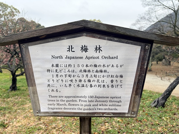 栗林公園 北梅林看板