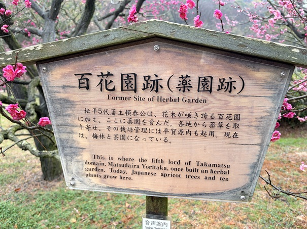 栗林公園 百花円跡
