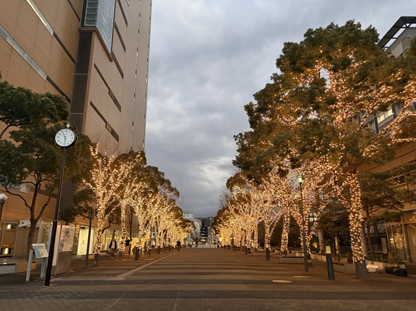 高松シンボルタワー 街路樹イルミネーション