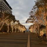 高松シンボルタワー　ウィンターイルネーション