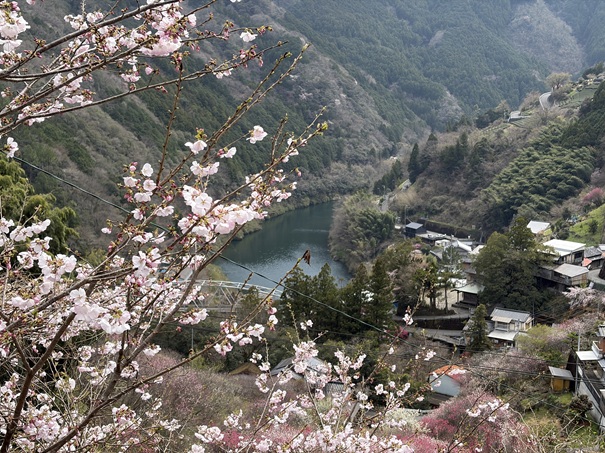 花の里公園　仁淀川