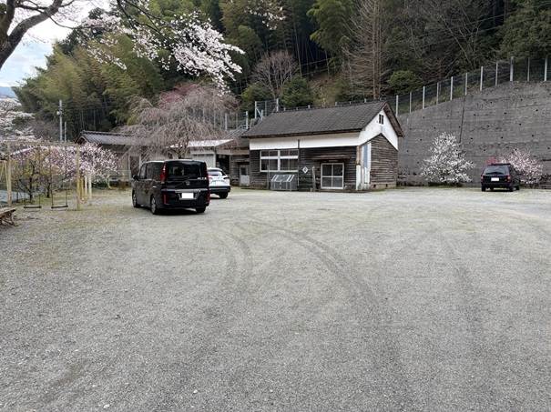 久喜の花桃　駐車場