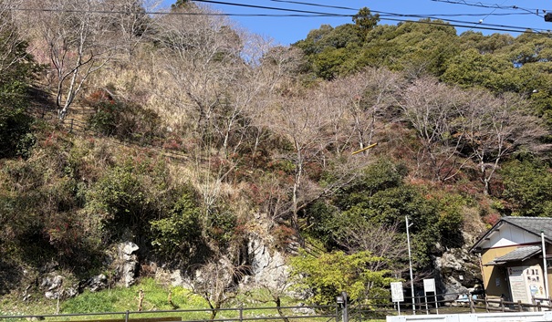 猿田洞　出口から入口まで