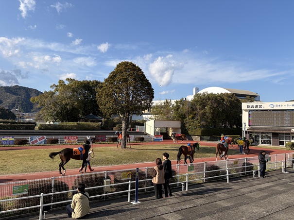 高知競馬 パドック