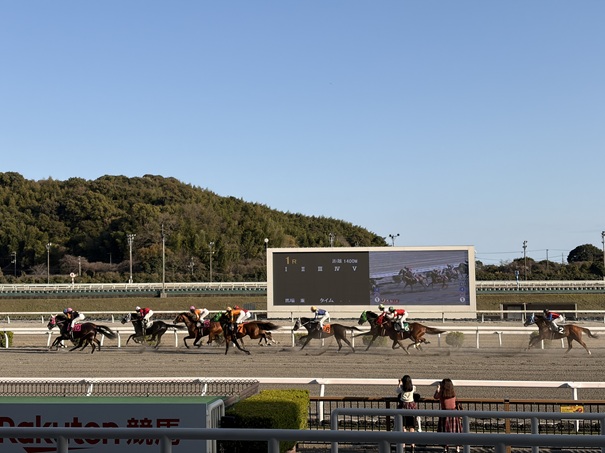 高知競馬