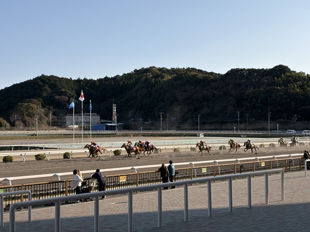 高知競馬 レース