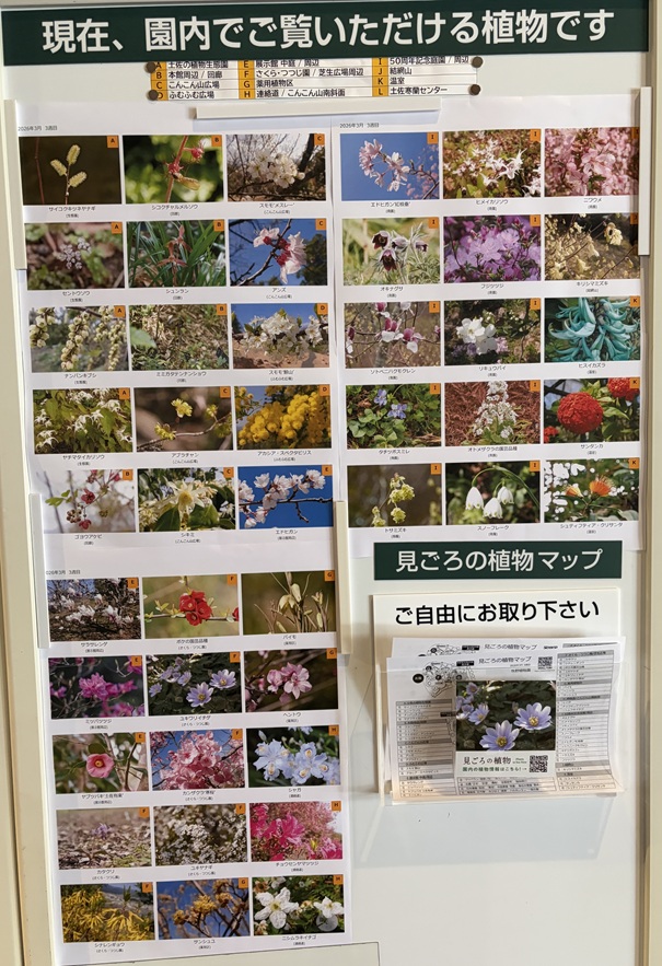 牧野植物園　見れる花案内