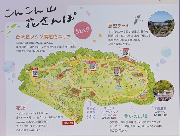 牧野植物園　こんこん山花さんぽ