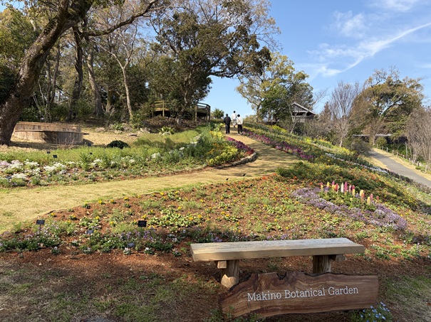 牧野植物園　こんこん山広場　撮影スポット