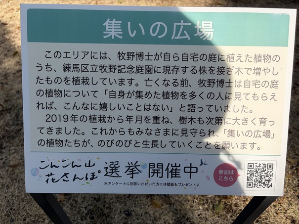 牧野植物園　こんこん山広場　集いの広場案内