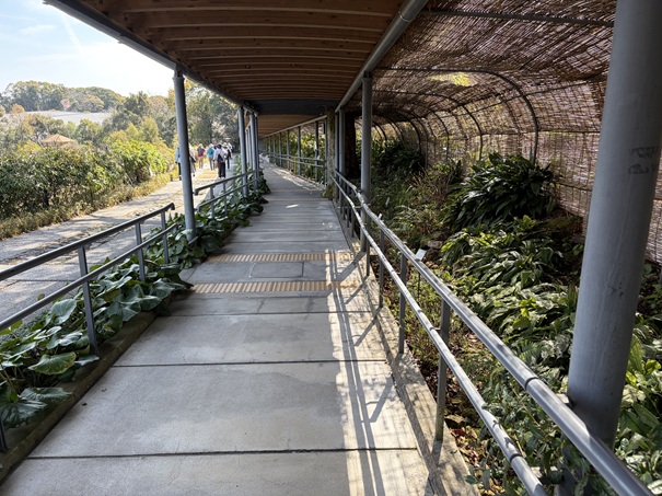 牧野植物園　回廊