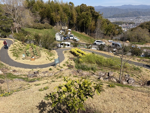牧野植物園　ふむふむ広場　土佐の畑