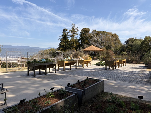 牧野植物園　ふむふむ広場　不例の庭