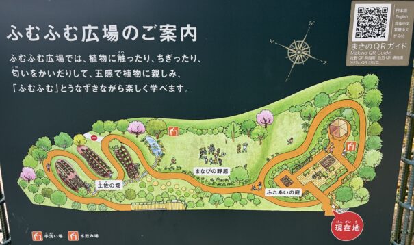 牧野植物園　ふむふむ広場看板
