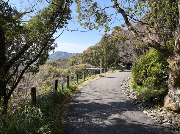 牧野植物園　連絡道