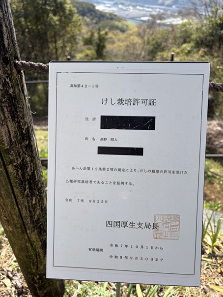 牧野植物園　けし栽培許可証