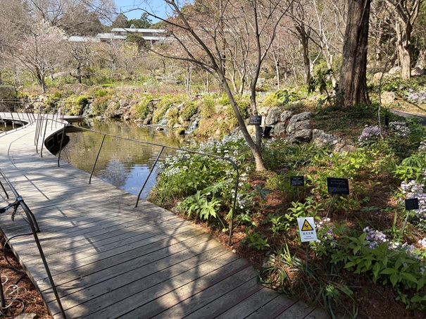 牧野植物園　南国50周年記念庭園