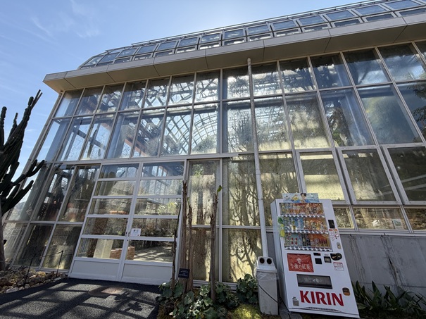 牧野植物園　温室