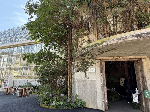 牧野植物園　温室入口