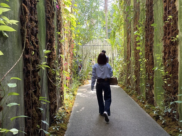牧野植物園　温室入口の通路