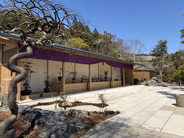 牧野植物園　日本伝統園芸植物観賞棚