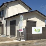 からだごはんそら豆