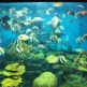 渋川マリン水族館