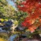 香川用水記念公園紅葉
