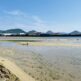 綾川マテ貝潮干狩りポイント