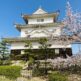 丸亀城の桜の花見