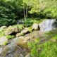 鳴滝森林公園　加茂川川遊び